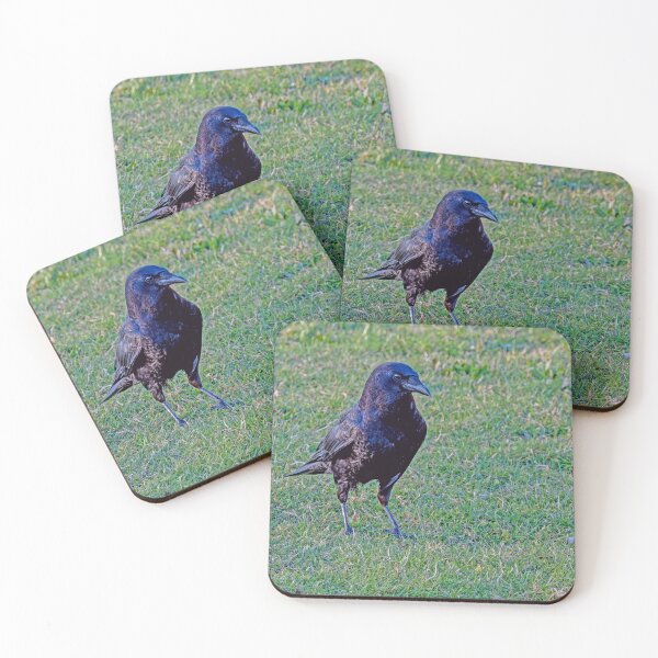 Item preview, Shiny Crow Marching on the Grass designed and sold by lisavonbiela.