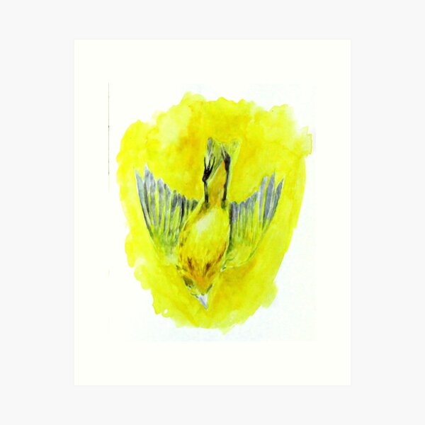 Warbler Art Print