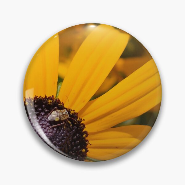 Item preview, Plant Bug on the Black Eyed Susans designed and sold by Quincy-Hedgehog.