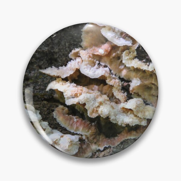 Item preview,  Fungus designed and sold by heatherfriedman.