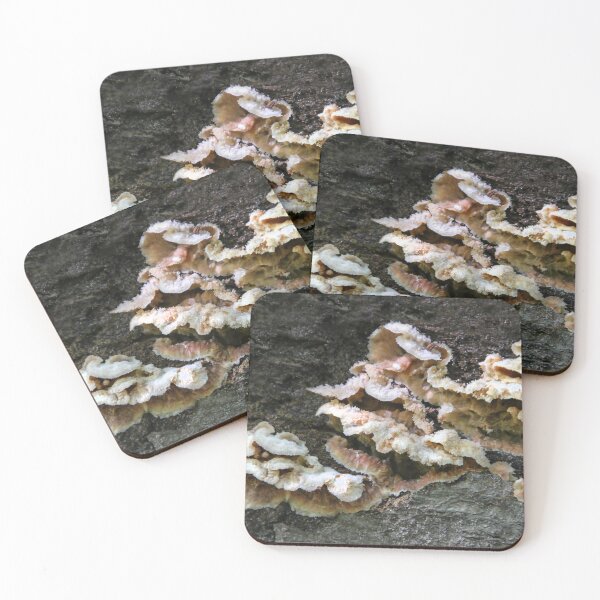 Item preview,  Fungus designed and sold by heatherfriedman.