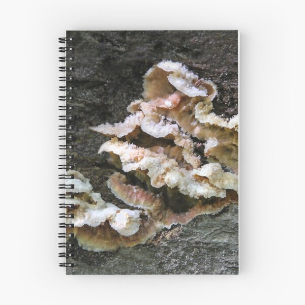 Item preview,  Fungus designed and sold by heatherfriedman.