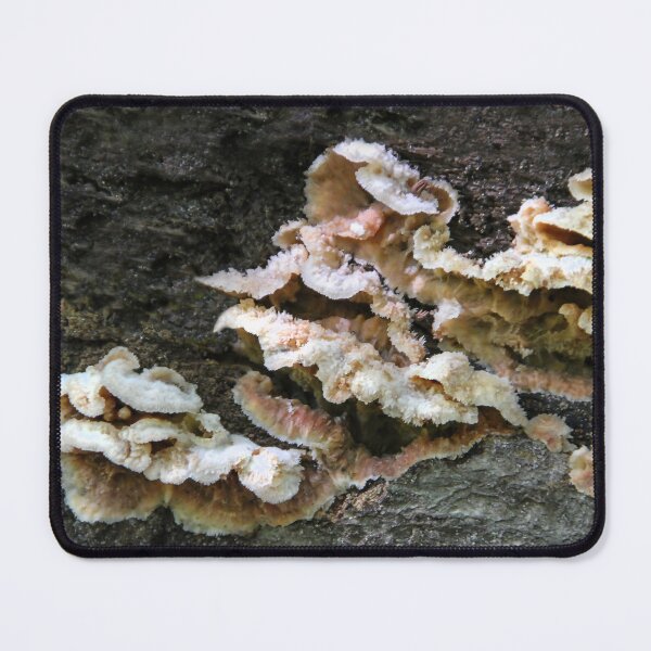 Item preview,  Fungus designed and sold by heatherfriedman.