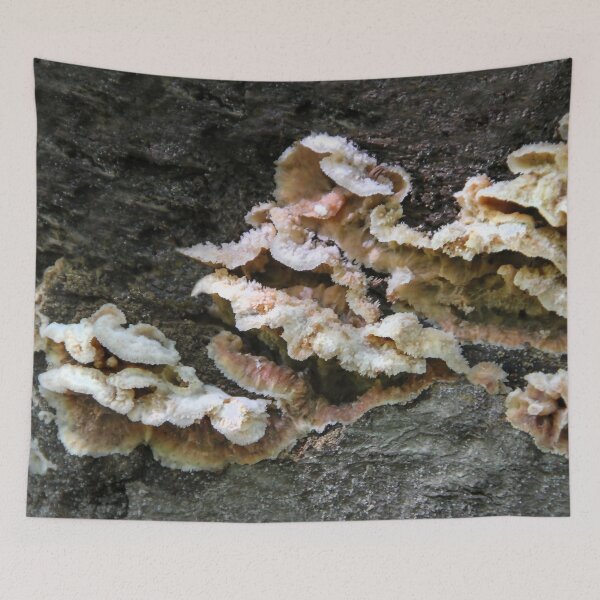 Item preview,  Fungus designed and sold by heatherfriedman.
