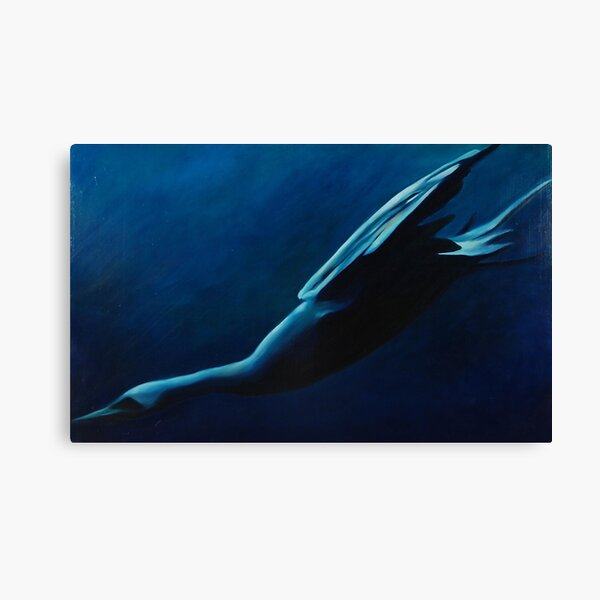 Living in Water Canvas Print