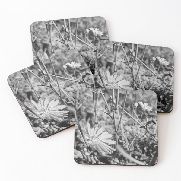 Item preview, Greyscale Flower Closeup in the Morning designed and sold by Quincy-Hedgehog.