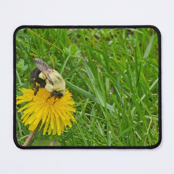 Item preview, Bumble Bee on a Tilting Dandelion designed and sold by Quincy-Hedgehog.