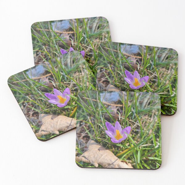 Item preview, First Crocus of March designed and sold by Quincy-Hedgehog.