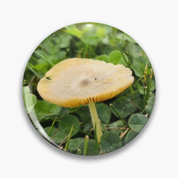 Item preview, Small Mushrooms in Clover Patch designed and sold by Quincy-Hedgehog.