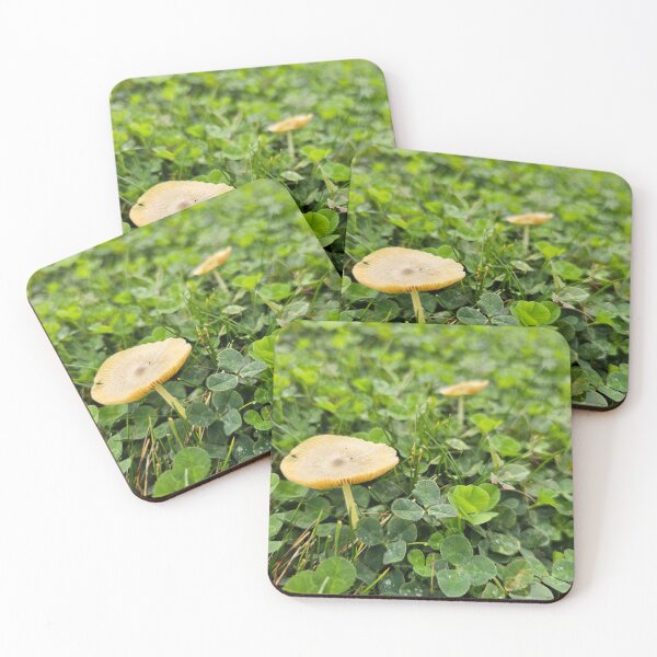 Item preview, Small Mushrooms in Clover Patch designed and sold by Quincy-Hedgehog.