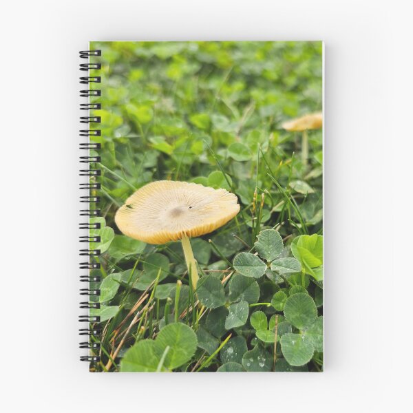 Item preview, Small Mushrooms in Clover Patch designed and sold by Quincy-Hedgehog.