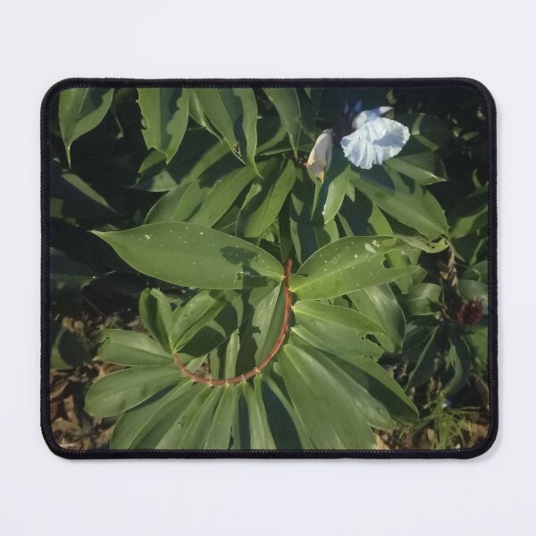 Item preview, Plantas tropicales designed and sold by Quantum-Life.