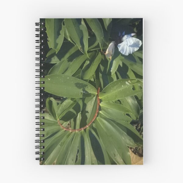 Item preview, Tropical Plants designed and sold by Quantum-Life.