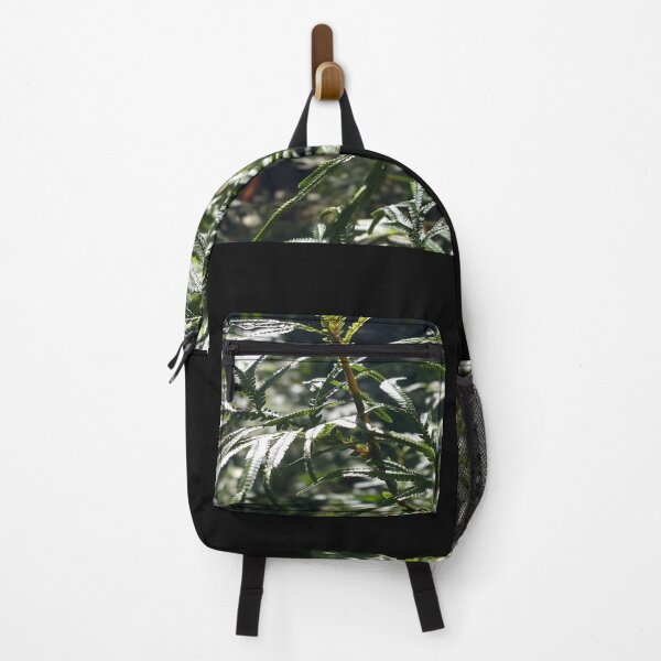 Item preview, Background of plant leaves with very beautiful sunlight. designed and sold by Yusuf-Design.