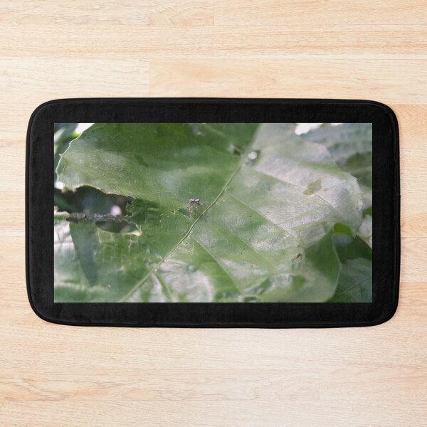 Item preview, Little jumping spider on a leaf designed and sold by Yusuf-Design.