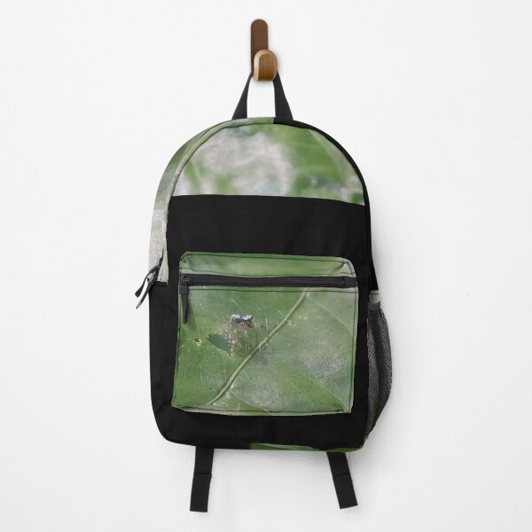 Item preview, Little jumping spider on a leaf designed and sold by Yusuf-Design.