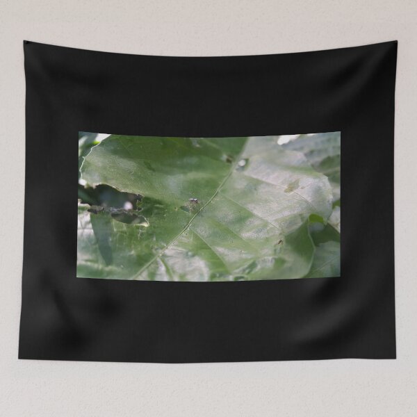 Item preview, Little jumping spider on a leaf designed and sold by Yusuf-Design.