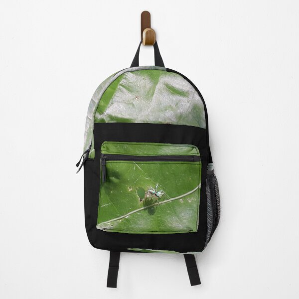 Item preview, Little jumping spider on green leaf designed and sold by Yusuf-Design.