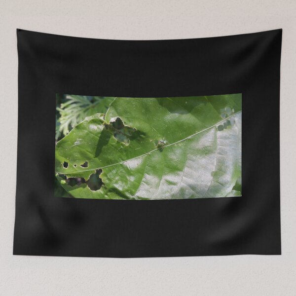 Item preview, Little jumping spider on green leaf designed and sold by Yusuf-Design.