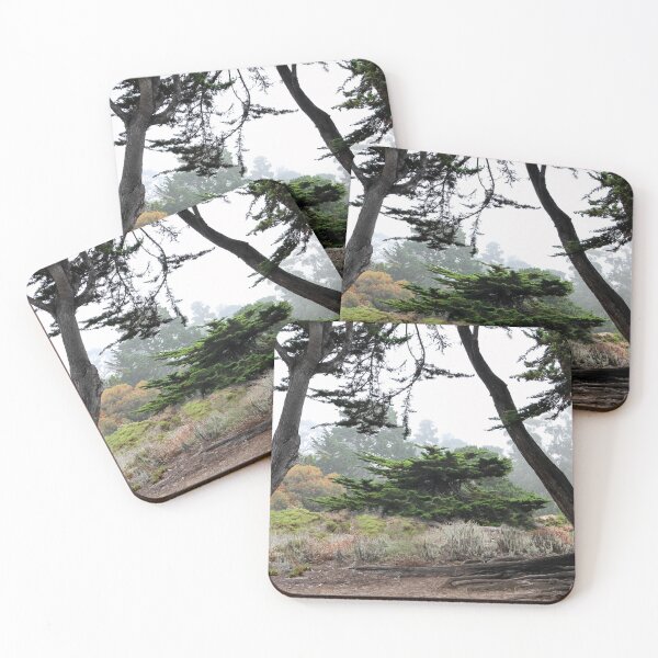 Item preview, Between the Trees designed and sold by heatherfriedman.