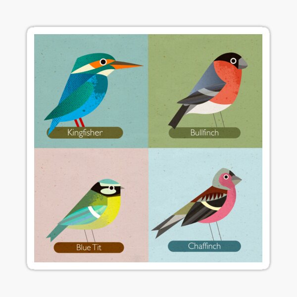 British Birds Sticker