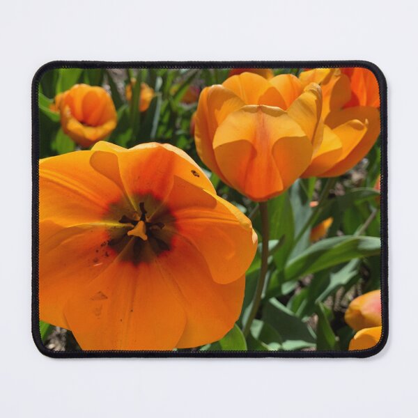 Item preview, Spring - Tulips in orange designed and sold by agnessa38.