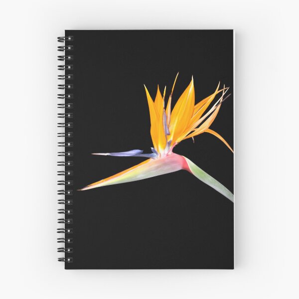Item preview, Brilliant Bird of Paradise Die Cut designed and sold by JoyousArt4u.