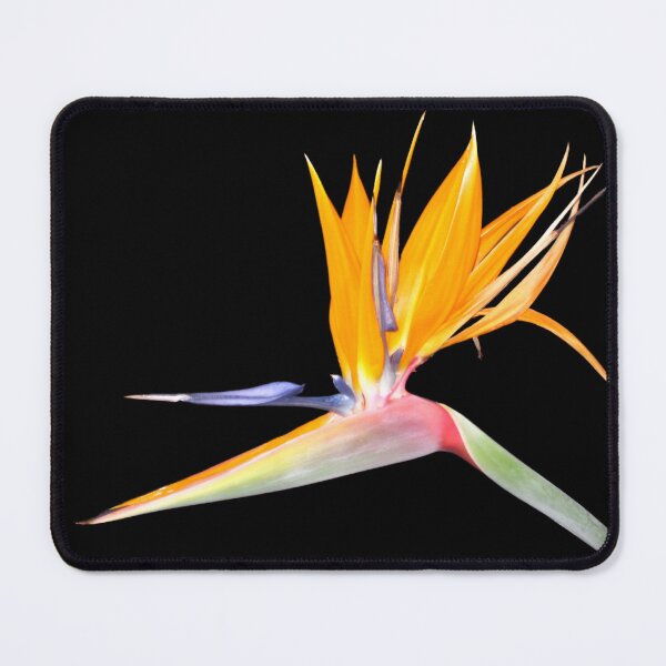 Item preview, Brilliant Bird of Paradise Die Cut designed and sold by JoyousArt4u.