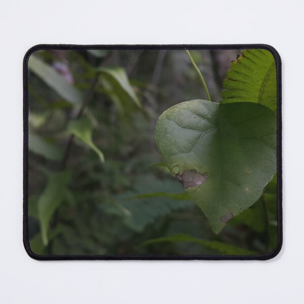 Item preview, Green leaves focus in the front background. designed and sold by Yusuf-Design.