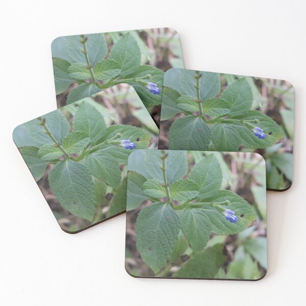 Item preview, Beautiful little blue flower background designed and sold by Yusuf-Design.