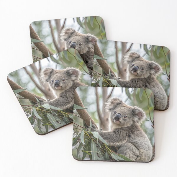 Item preview, Koala designed and sold by pawprintz.