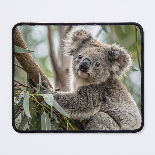 Item preview, Koala designed and sold by pawprintz.