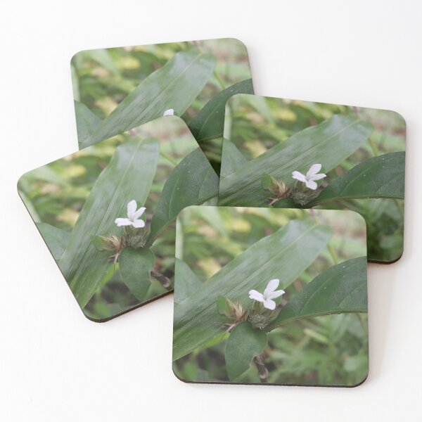 Item preview, Small white flowering plants. designed and sold by Yusuf-Design.
