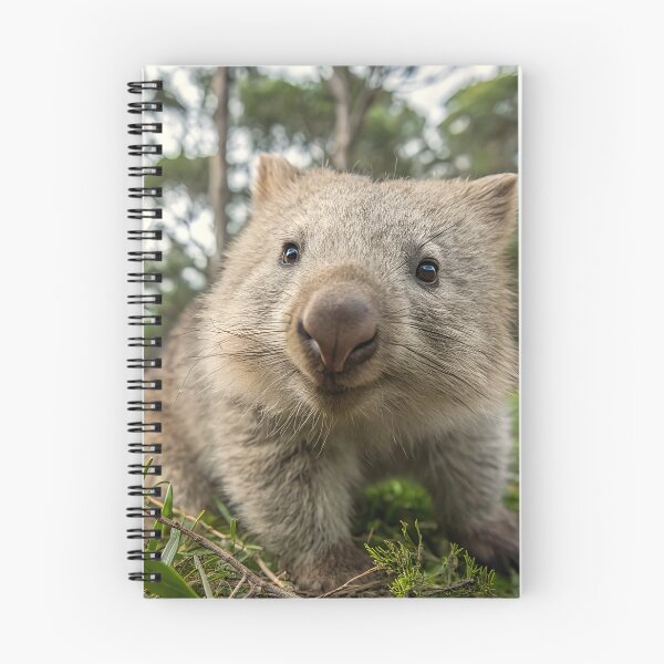 Item preview, Wombat designed and sold by pawprintz.