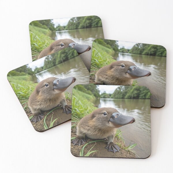 Item preview, Platypus designed and sold by pawprintz.
