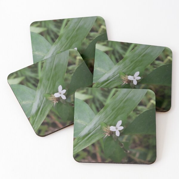 Item preview, White flowering plants. floral photography designed and sold by Yusuf-Design.