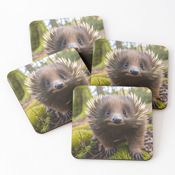 Item preview, Echinda designed and sold by pawprintz.