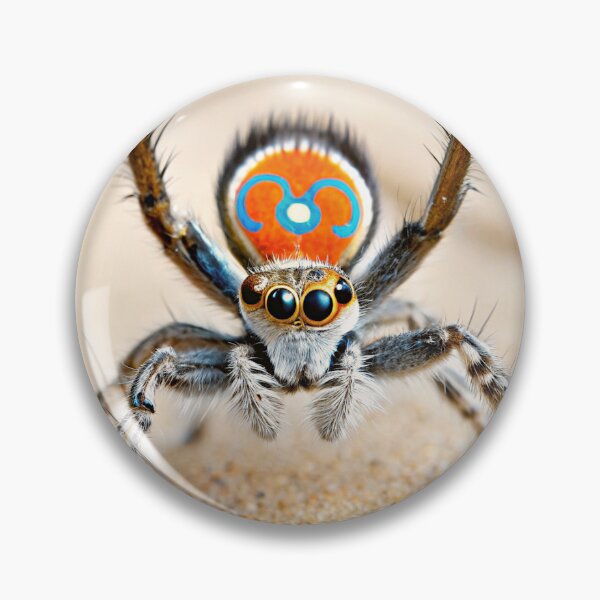 Item preview, Peacock spider designed and sold by pawprintz.