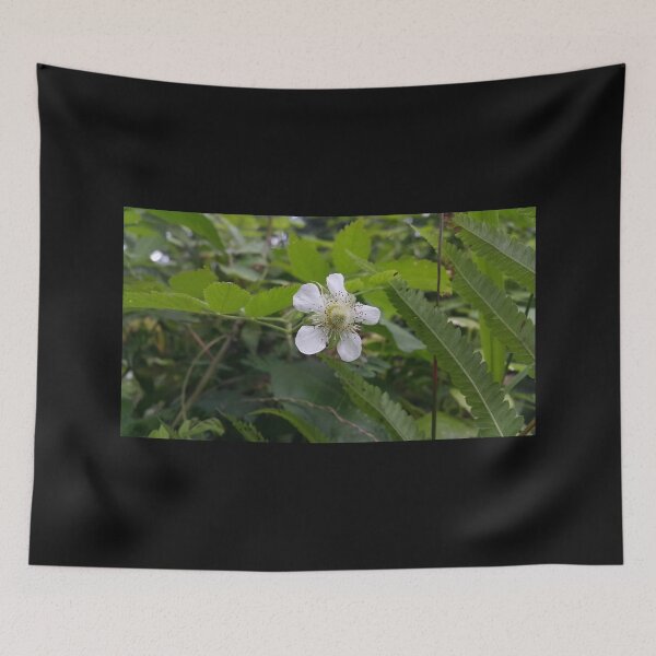 Item preview, Big white flower of dark green tropical plant, floral photography designed and sold by Yusuf-Design.