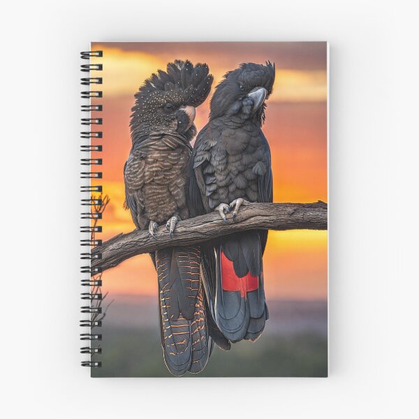 Item preview, Red-tailed black cockatoos designed and sold by pawprintz.