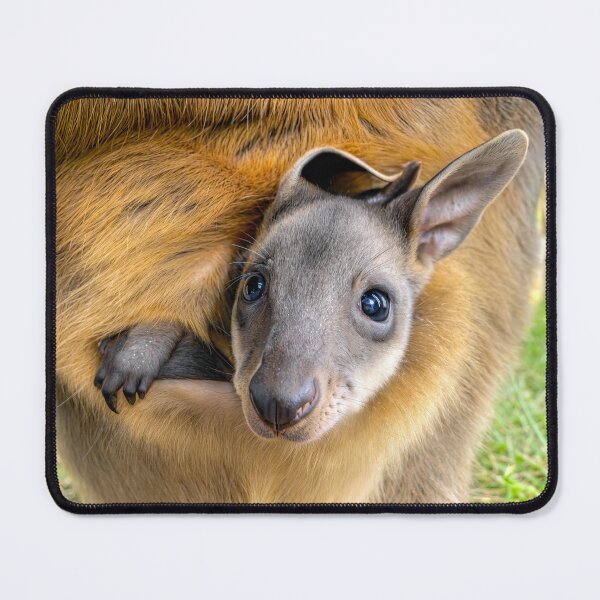 Item preview, Swamp wallaby joey designed and sold by pawprintz.