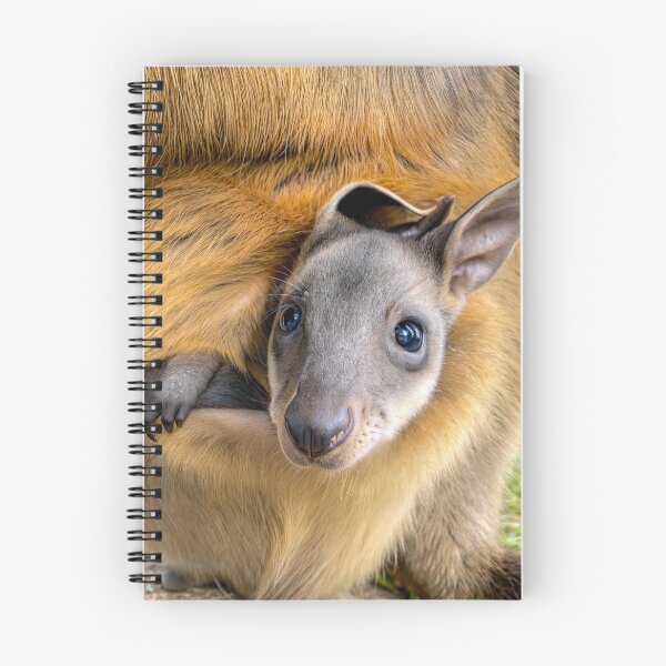 Item preview, Swamp wallaby joey designed and sold by pawprintz.