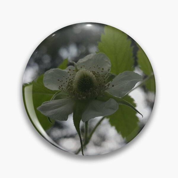 Artikelvorschau, Schöne Aussicht auf weiße Rubus Rosifolius Blüten, Blumenfotografie entworfen und verkauft von Yusuf-Design.