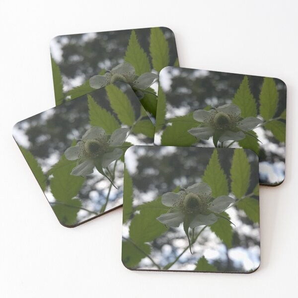 Item preview, Beautiful view of white Rubus Rosifolius flowers, flower photography designed and sold by Yusuf-Design.