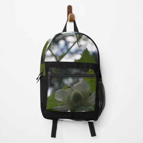 Item preview, Beautiful view of white Rubus Rosifolius flowers, flower photography designed and sold by Yusuf-Design.
