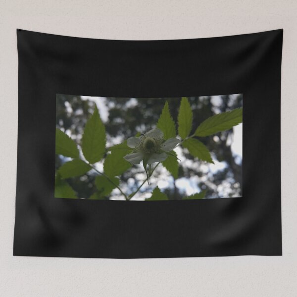 Item preview, Beautiful view of white Rubus Rosifolius flowers, flower photography designed and sold by Yusuf-Design.