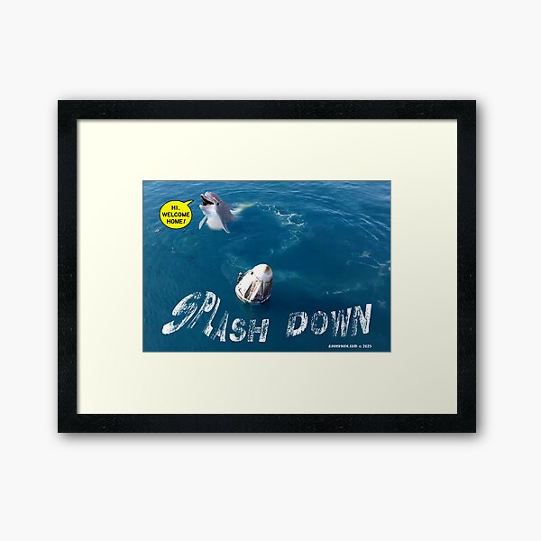 Splash Down Framed Art Print
