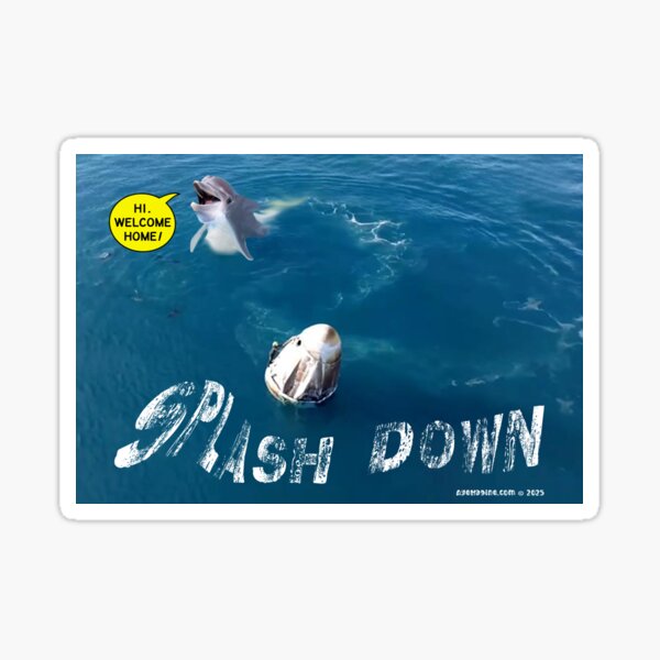 Splash Down Sticker