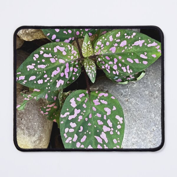 Item preview, A morning find that could be something designed and sold by BeNaturally24.