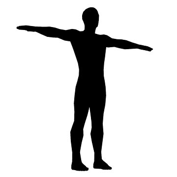 T Pose Shirt Sticker for Sale by Andrew Burant